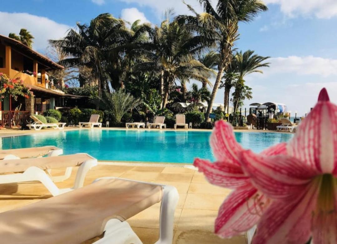 Beach Front Ocean View Porto Antigo2 Santa Maria Luaran gambar